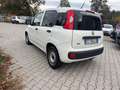Fiat Panda Panda 1.3 mjt 16v Pop 75cv E5+ Blanc - thumbnail 6