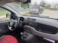Fiat Panda Panda 1.3 mjt 16v Pop 75cv E5+ Blanc - thumbnail 12