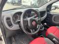 Fiat Panda Panda 1.3 mjt 16v Pop 75cv E5+ Blanc - thumbnail 8