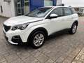 Peugeot 3008 Active/Navi/Bremsen hinten neu Blanc - thumbnail 4