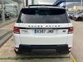Land Rover Range Rover Sport 3.0SDV6 HSE Dynamic 306 Aut. Blanco - thumbnail 4