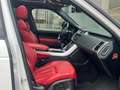 Land Rover Range Rover Sport 3.0SDV6 HSE Dynamic 306 Aut. Blanco - thumbnail 11