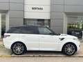 Land Rover Range Rover Sport 3.0SDV6 HSE Dynamic 306 Aut. Blanco - thumbnail 6