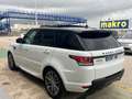 Land Rover Range Rover Sport 3.0SDV6 HSE Dynamic 306 Aut. Blanco - thumbnail 3