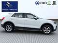 Audi Q2 30 TFSI*LED*Audi Connect* Sitzheizung*PDC Weiß - thumbnail 7