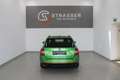 Skoda Octavia 4x4 RS TDI DSG Grün - thumbnail 4