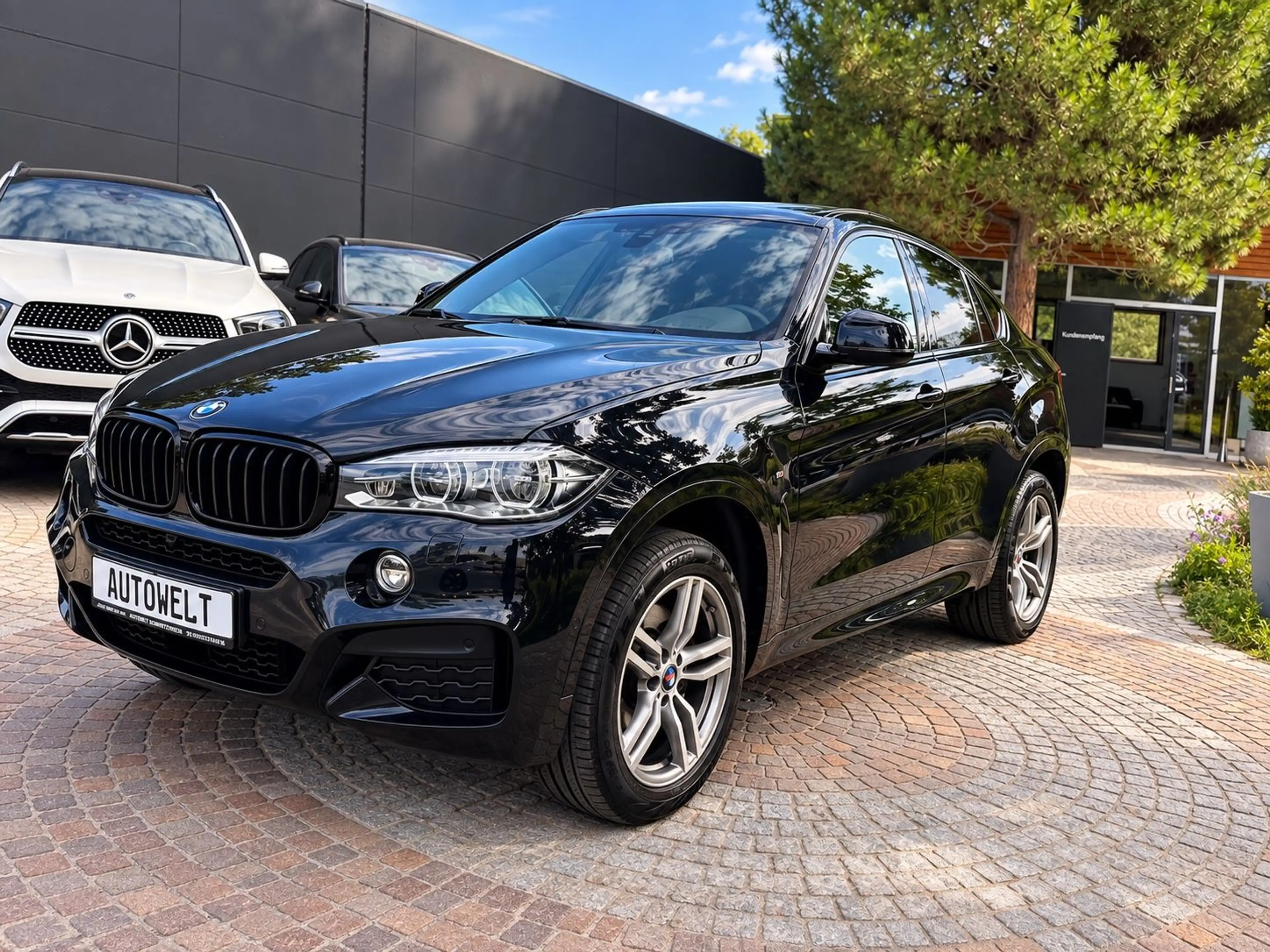 BMW X6 xDrive 40 d M-Paket/HUD/Schiebedach/Stand-Hzg — photo 3