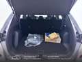 Ford Kuga 2.5 phev ST-Line 2wd cvt KM ZERO-Prezzo Reale Grigio - thumbnail 34