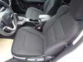 Isuzu D-Max D-MAX Double Cab 4x4 LS A/T NOVA-FREI Weiß - thumbnail 16
