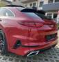 Kia ProCeed / pro_cee'd pro ceed 1,6 CRDi SCR GT-Line DCT Aut. - thumbnail 13
