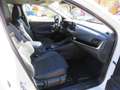 Nissan Qashqai Premiere Edition 1,3 DIG-T 158PS Xtronic mit WKR Weiß - thumbnail 14