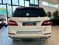 Mercedes-Benz ML 250 BlueTEC 4Matic Sport Weiß - thumbnail 3