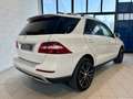 Mercedes-Benz ML 250 BlueTEC 4Matic Sport Weiß - thumbnail 4