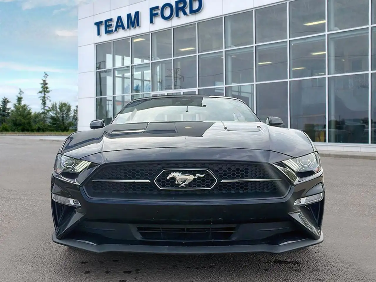 Ford Mustang снимка Ford Mustang
