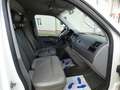 Volkswagen T5 Transporter PLANE*ZR+TÜV NEU*SCHECKHEFT Weiß - thumbnail 11