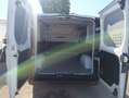 Fiat Talento 2.0 Ecojet 145CV PC-TN Furgone 10q Bianco - thumbnail 5