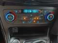 Ford Focus Focus 1.5 TDCi 120 CV Start&Stop Powershift Titan Bleu - thumbnail 8