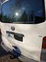 Volkswagen T5 Kombi Kasten Mehrwert Weiß - thumbnail 3