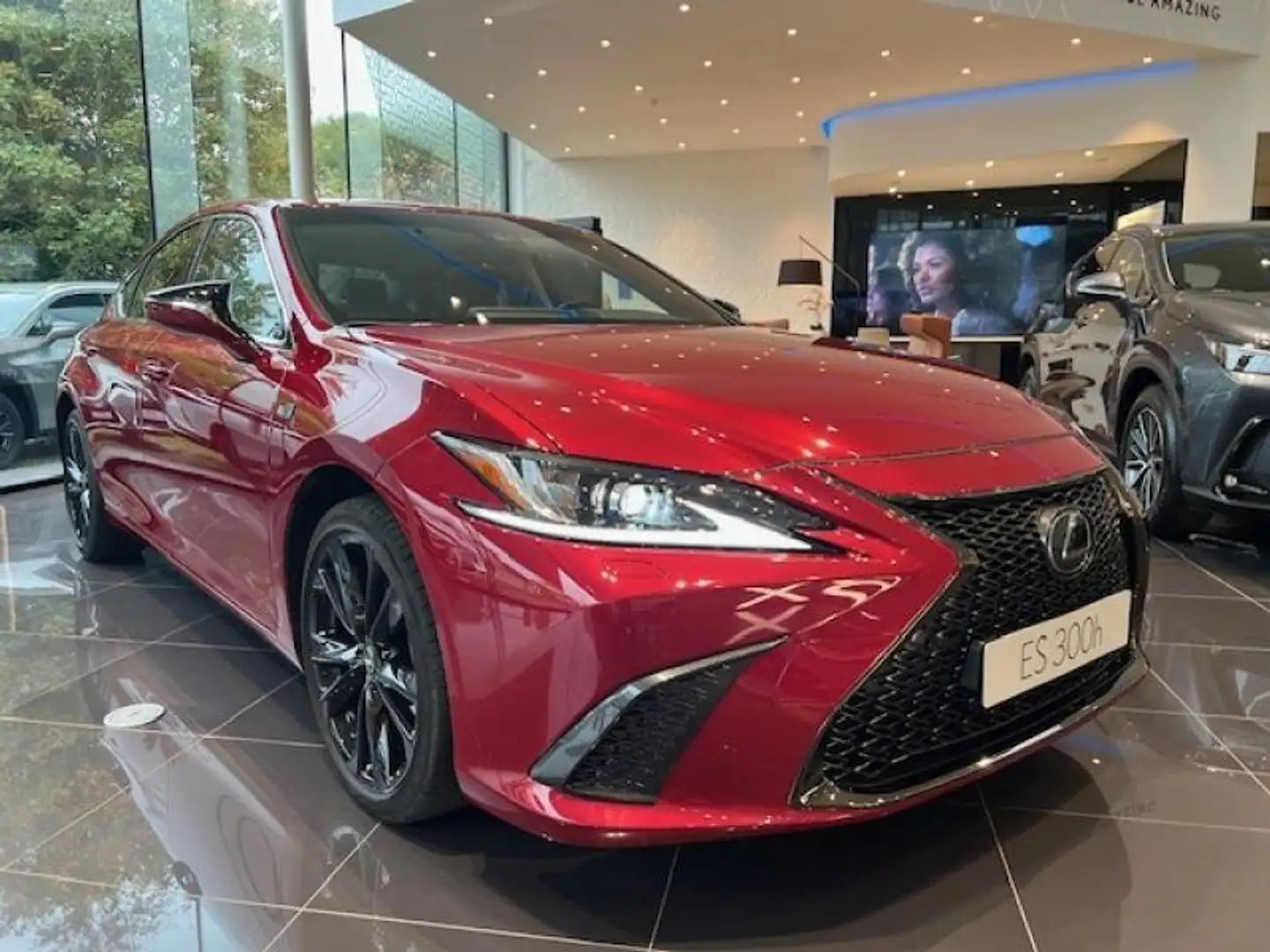 Lexus ES 300 F-Sport Design Rojo - 2