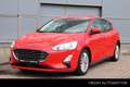 Ford Focus 1.0 EcoBoost Titanium Business | Navigatie | Adapt Rouge - thumbnail 1