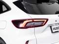 Ford Kuga ST-Line X 2.5 Duratec PHEV Weiß - thumbnail 16
