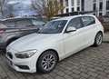 BMW 118 118i Sport Line Bílá - thumbnail 12