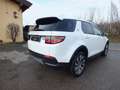 Land Rover Discovery Sport 150 CV HYBRID 4X4 AUTOMATICA OTTIME CONDIZIONI Weiß - thumbnail 6