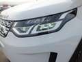 Land Rover Discovery Sport 150 CV HYBRID 4X4 AUTOMATICA OTTIME CONDIZIONI Weiß - thumbnail 22