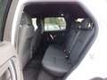 Land Rover Discovery Sport 150 CV HYBRID 4X4 AUTOMATICA OTTIME CONDIZIONI Weiß - thumbnail 12