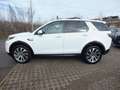 Land Rover Discovery Sport 150 CV HYBRID 4X4 AUTOMATICA OTTIME CONDIZIONI Weiß - thumbnail 8
