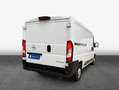 Opel Movano 2.2 D L2H1 2WD VA Edition Blanc - thumbnail 2