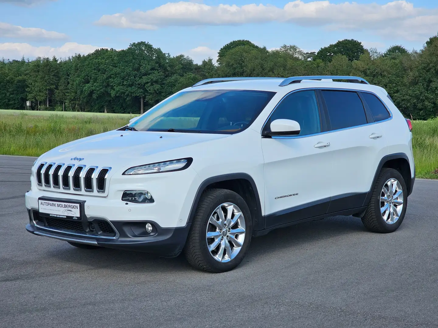 Jeep Cherokee Limited 4WD Automatik Leder AHK BI-Xenon GARANTIE Alb - 1
