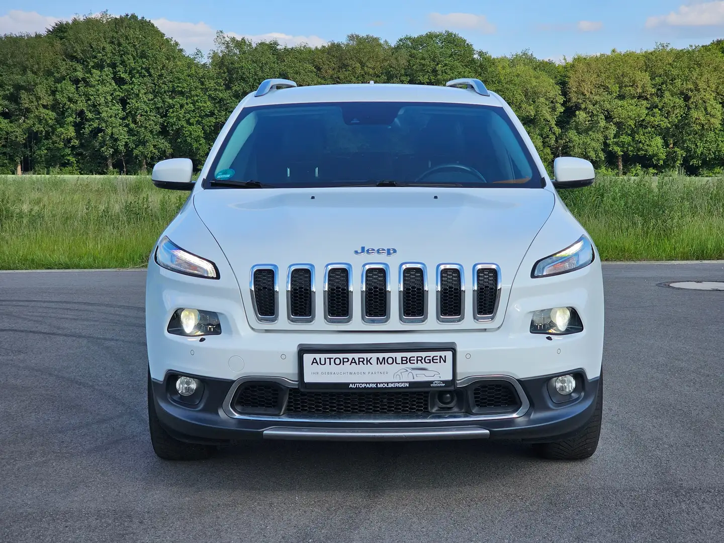 Jeep Cherokee Limited 4WD Automatik Leder AHK BI-Xenon GARANTIE Alb - 2