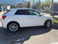 Audi Q2 Q2 30 TFSI admired admired - thumbnail 2