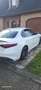Alfa Romeo Quadrifoglio Blanc - thumbnail 4