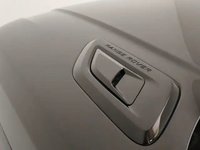 Land Rover Range Rover Sport view 19