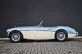 Austin Healey 100/6 - Excellente staat Niebieski - thumbnail 9