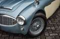 Austin Healey 100/6 - Excellente staat Blauw - thumbnail 2