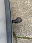 Audi Q3 Facelift/PDC/AHK/Automatik/KylessGo/2 Hand Srebrny - thumbnail 15