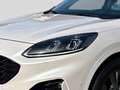 Ford Kuga 2.0 EcoBlue 190 AUT AWD ST-Line X |ACC|LED| Weiß - thumbnail 7