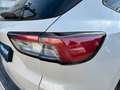 Ford Kuga 2.0 EcoBlue 190 AUT AWD ST-Line X |ACC|LED| Weiß - thumbnail 12