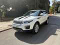Land Rover Range Rover Evoque 2.0 eD4 5p. Business Edition Premium Pure Bianco - thumbnail 1