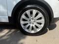 Land Rover Range Rover Evoque 2.0 eD4 5p. Business Edition Premium Pure Bianco - thumbnail 5
