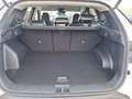 Hyundai TUCSON FL HEV (MY25) 1.6 T-GDi (215 PS) 6-AT 2WD P Weiß - thumbnail 14