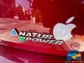 Fiat Panda 1.2 Natural Power Neo patentati Rosso - thumbnail 9