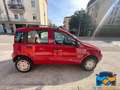 Fiat Panda 1.2 Natural Power Neo patentati Rosso - thumbnail 5