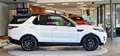 Land Rover Discovery 3.0 L HSE Td6 ALLRAD Aut. *Meridian*Kamera*Luftfed Weiß - thumbnail 5