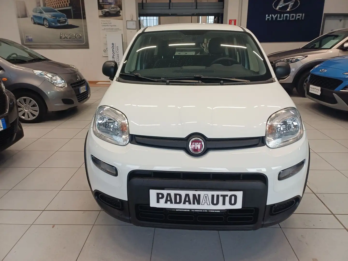Fiat Panda Panda 1.0 FireFly S&S Hybrid Bianco - 1