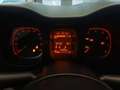 Fiat Panda Panda 1.0 FireFly S&S Hybrid Bianco - thumbnail 10
