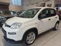 Fiat Panda Panda 1.0 FireFly S&S Hybrid Bianco - thumbnail 2